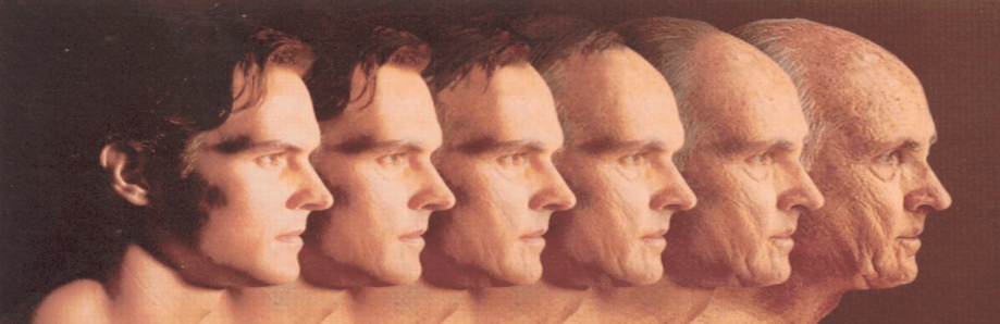 Anti-aging supplementen